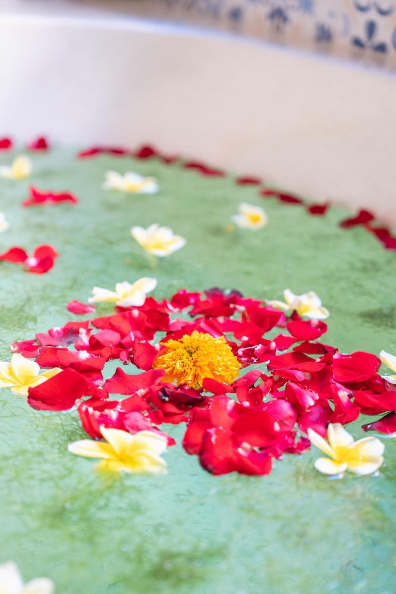 The Compass Rose Ubud Exterior photo